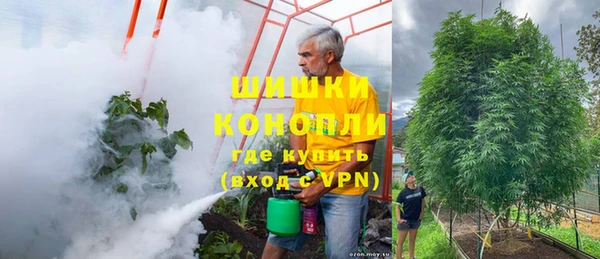 ALPHA PVP Котовск