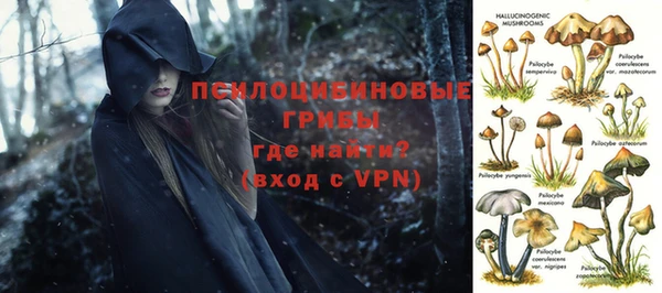 Альфа ПВП Магадан